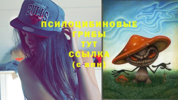 круглые Армянск