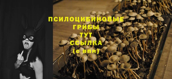 прущая мука Арсеньев