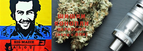 PSILOCYBIN Аркадак