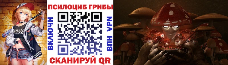 Псилоцибиновые грибы Psilocybe  Дмитров 